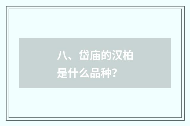 八、岱庙的汉柏是什么品种?