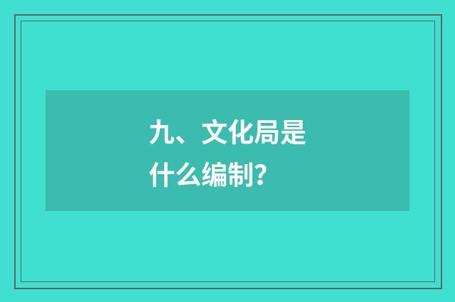 九、文化局是什么编制?
