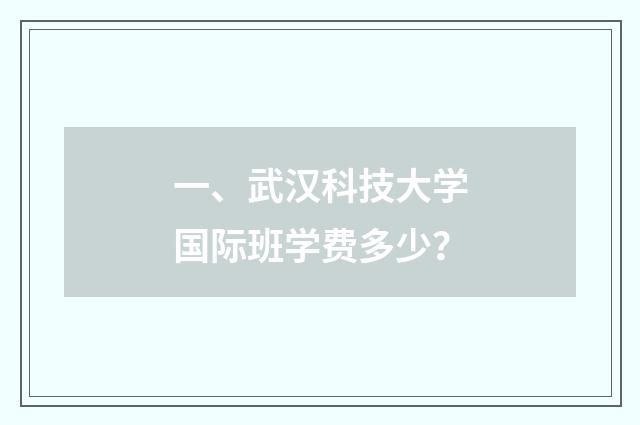 一、武汉科技大学国际班学费多少?