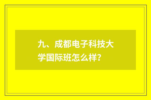 九、成都电子科技大学国际班怎么样?