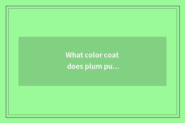 What color coat does plum purple coat take more fashionable?