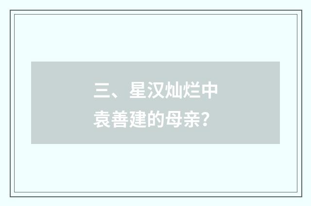 三、星汉灿烂中袁善建的母亲？