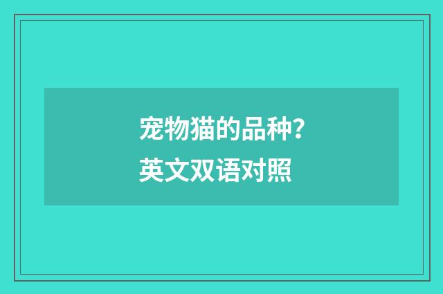 宠物猫的品种?英文双语对照