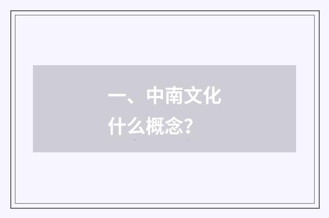 一、中南文化什么概念?