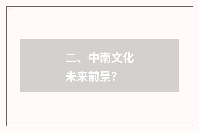 二、中南文化未来前景?
