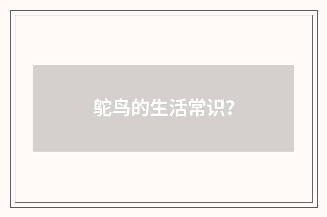鸵鸟的生活常识?