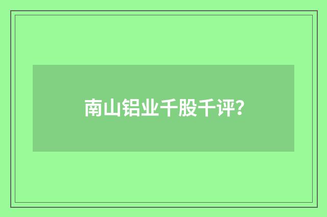 南山铝业千股千评？