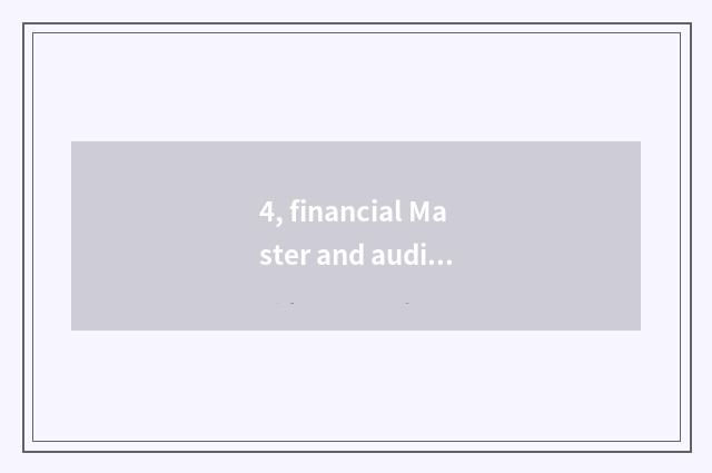 4, financial Master and audit Master distinction?