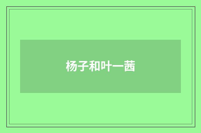 杨子和叶一茜