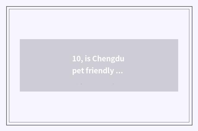 10, is Chengdu pet friendly what does bazaar have?