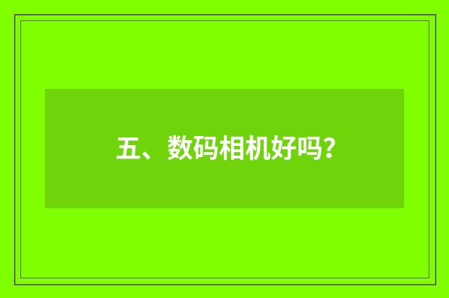 五、数码相机好吗?