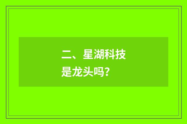 二、星湖科技是龙头吗?