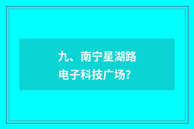 九、南宁星湖路电子科技广场？