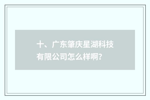 十、广东肇庆星湖科技有限公司怎么样啊？