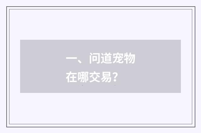一、问道宠物在哪交易?