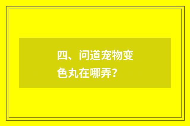 四、问道宠物变色丸在哪弄?