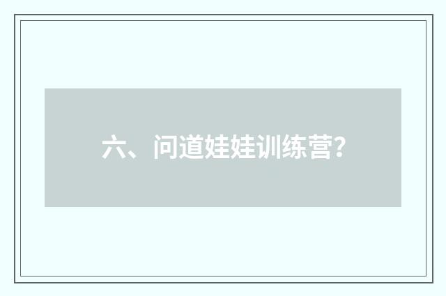 六、问道娃娃训练营?