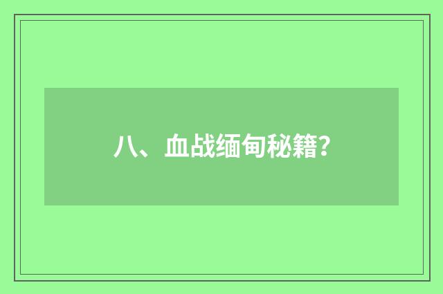 八、血战缅甸秘籍？