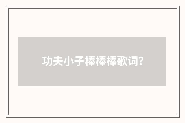 功夫小子棒棒棒歌词？