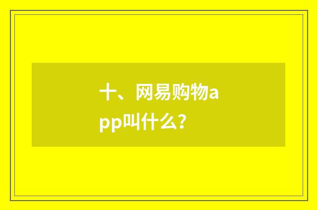 十、网易购物app叫什么?