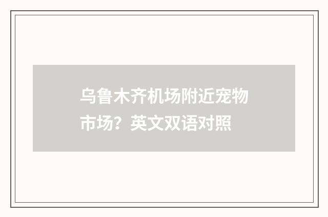 乌鲁木齐机场附近宠物市场？英文双语对照