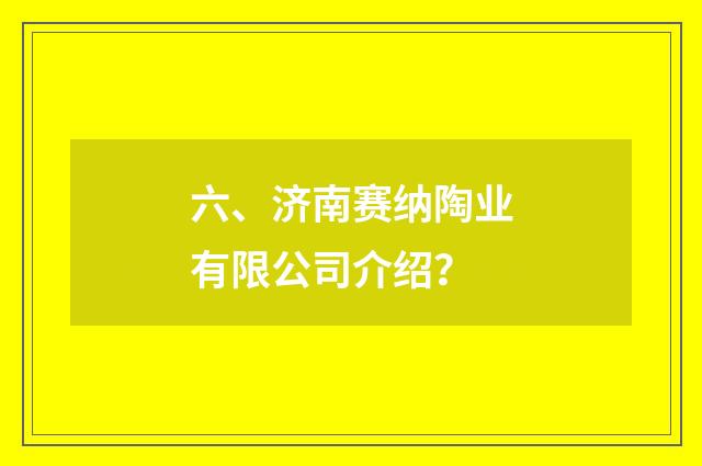 六、济南赛纳陶业有限公司介绍？
