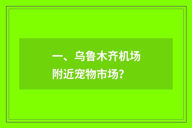 一、乌鲁木齐机场附近宠物市场?