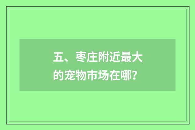 五、枣庄附近最大的宠物市场在哪?