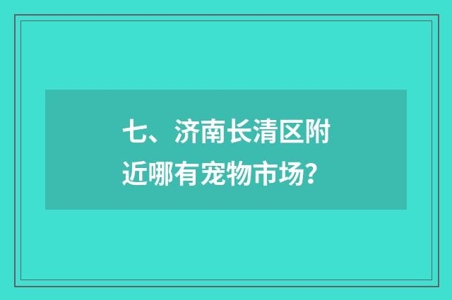 七、济南长清区附近哪有宠物市场？