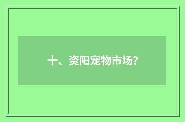 十、资阳宠物市场?