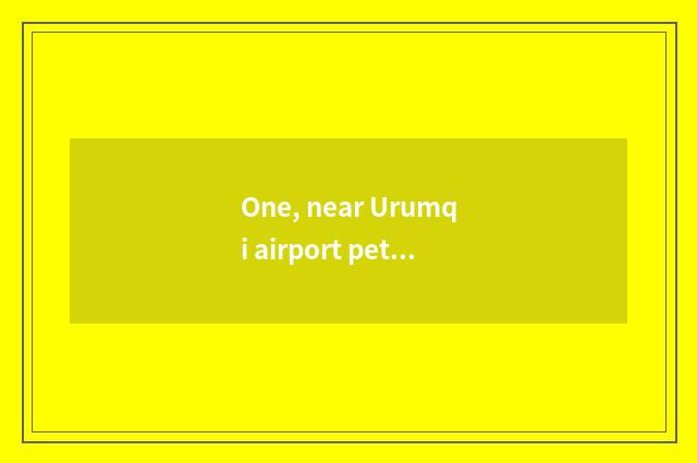 One, near Urumqi airport pet market?