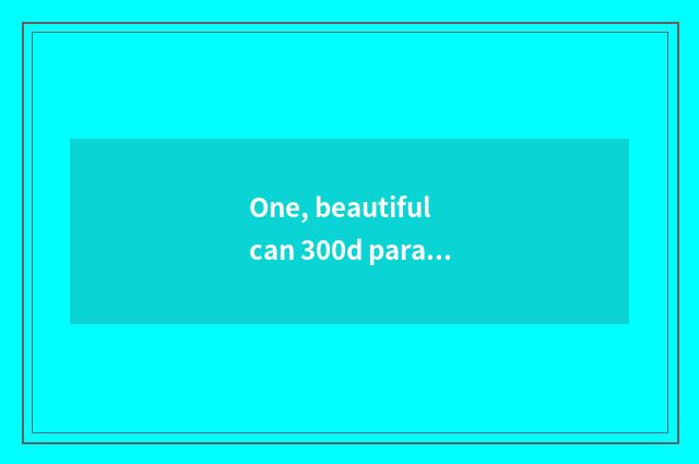 One, beautiful can 300d parameter?