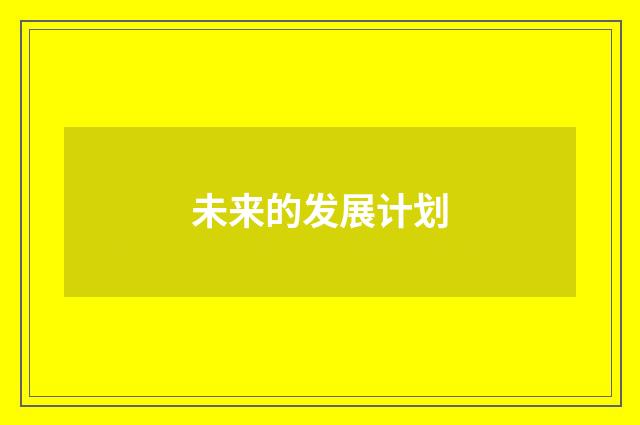 未来的发展计划