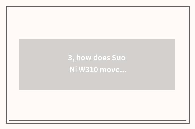 3, how does Suo Ni W310 move Chinese?