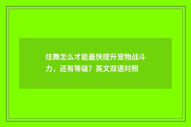炫舞怎么才能最快提升宠物战斗力,还有等级?英文双语对照
