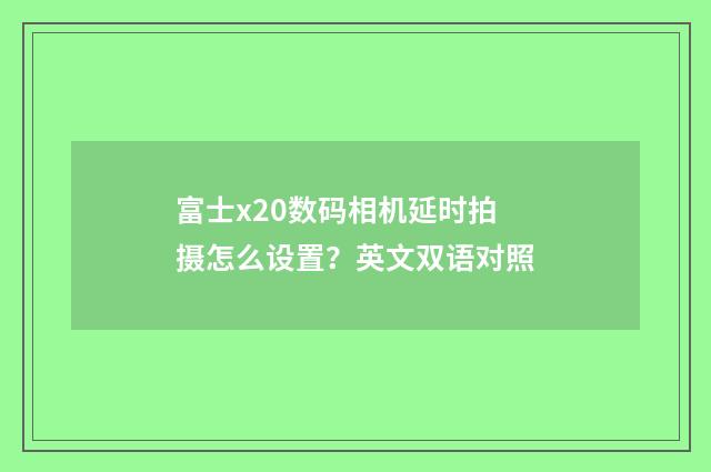 富士x20数码相机延时拍摄怎么设置?英文双语对照