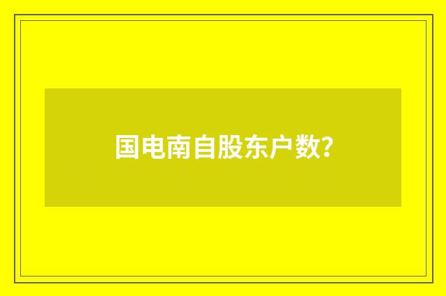 国电南自股东户数?