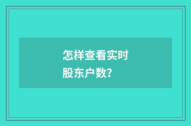 怎样查看实时股东户数？