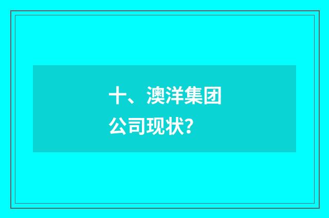 十、澳洋集团公司现状?