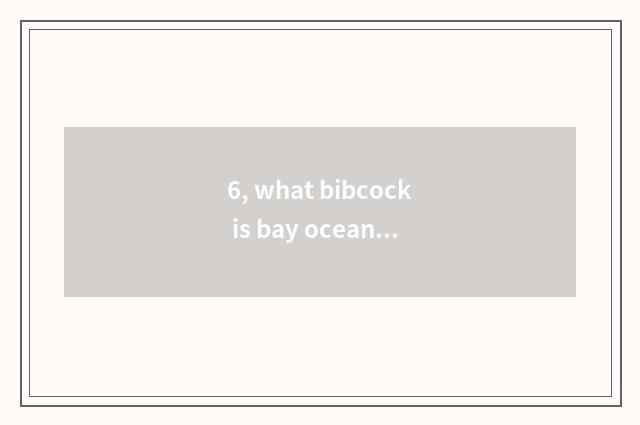 6, what bibcock is bay ocean health?