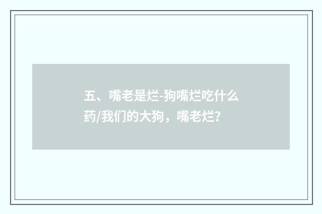 五、嘴老是烂-狗嘴烂吃什么药/我们的大狗,嘴老烂?
