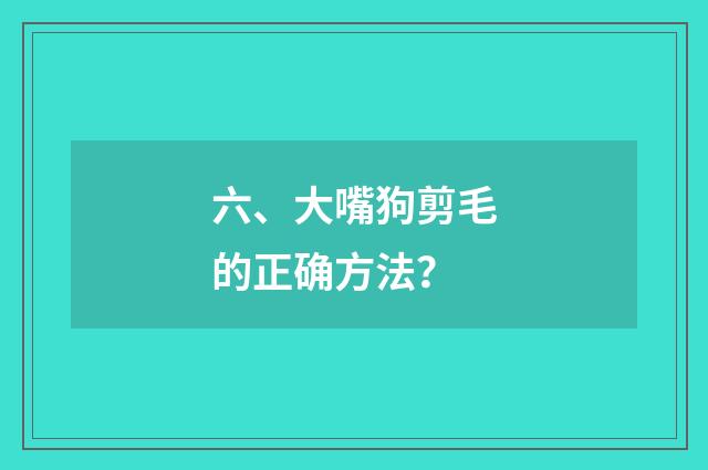 六、大嘴狗剪毛的正确方法?
