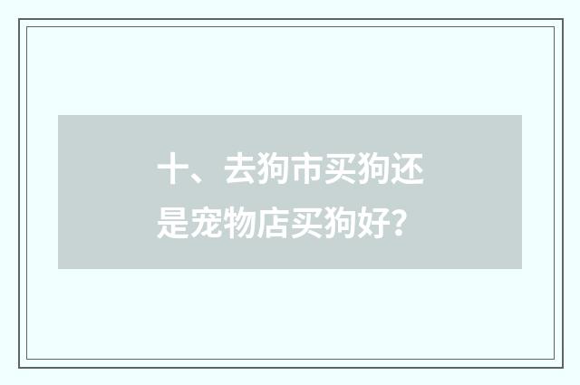 十、去狗市买狗还是宠物店买狗好？
