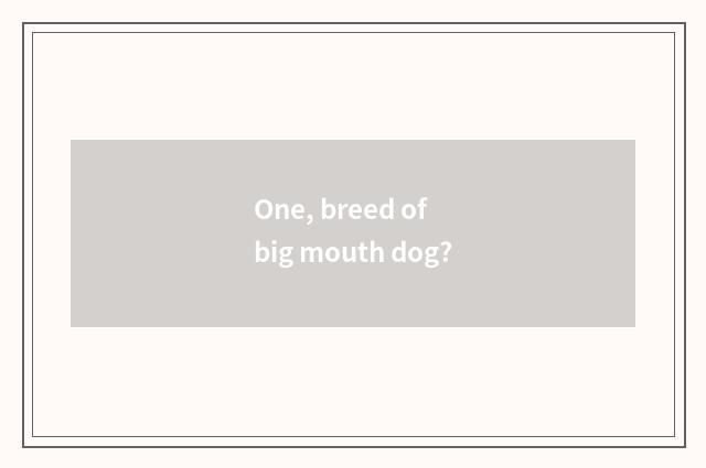 One, breed of big mouth dog?