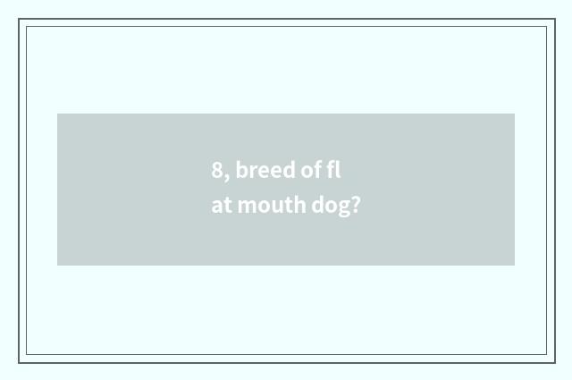 8, breed of flat mouth dog?