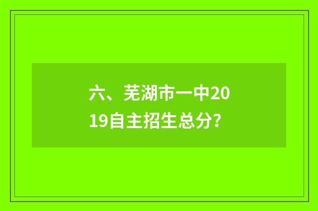 六、芜湖市一中2019自主招生总分?