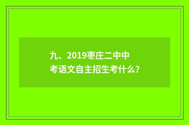 九、2019枣庄二中中考语文自主招生考什么？