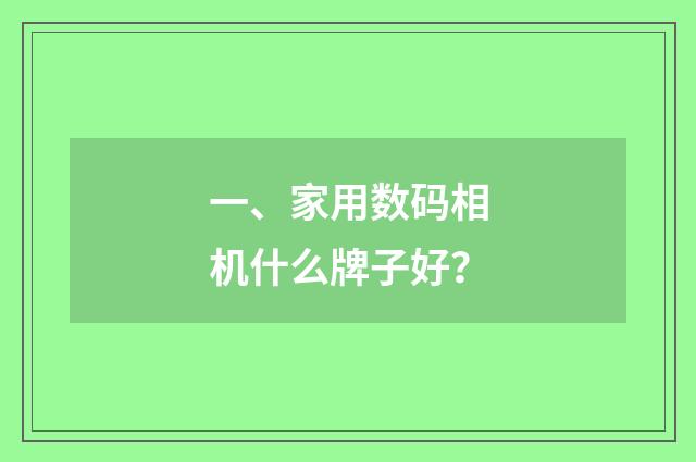 一、家用数码相机什么牌子好？