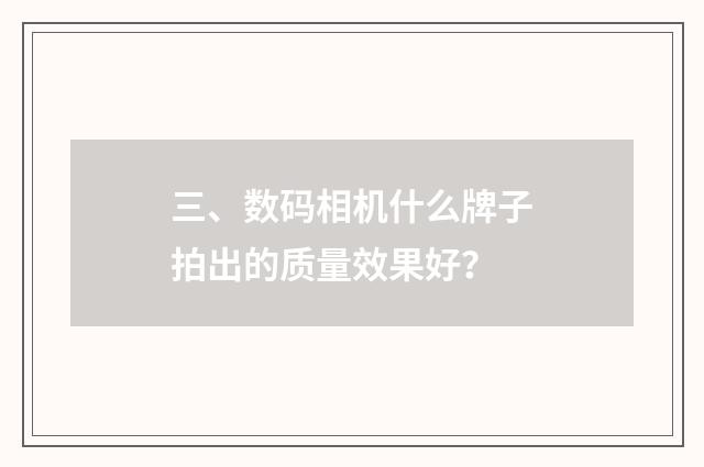 三、数码相机什么牌子拍出的质量效果好？