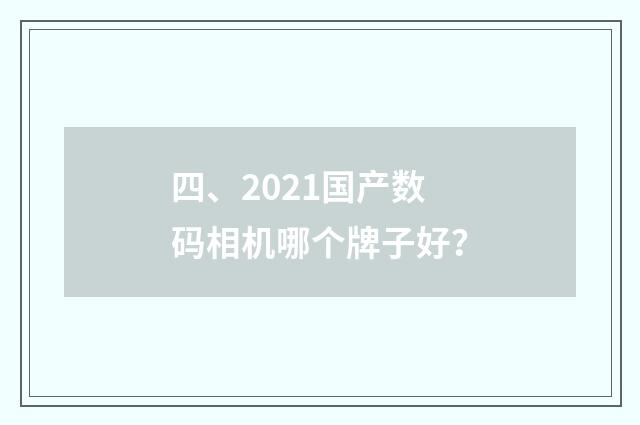 四、2021国产数码相机哪个牌子好?